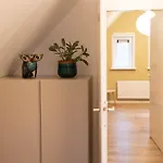Vliegend Hert Veluwe * 넌스피트