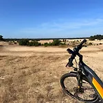 Vliegend Hert Veluwe