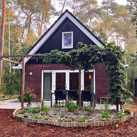 Vliegend Hert Veluwe * Nunspeet