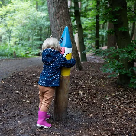Vliegend Hert Veluwe Nunspeet