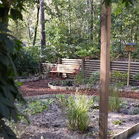 Vliegend Hert Veluwe Holiday home