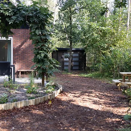 Vliegend Hert Veluwe Nunspeet