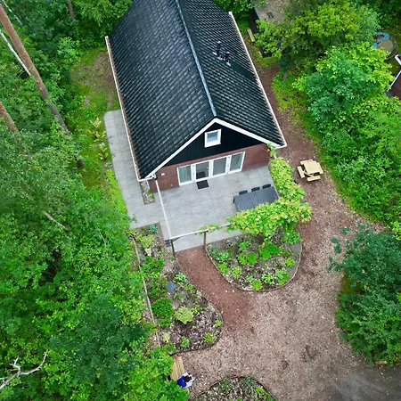 Vliegend Hert Veluwe