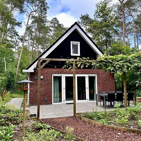 Vliegend Hert Veluwe Holiday home