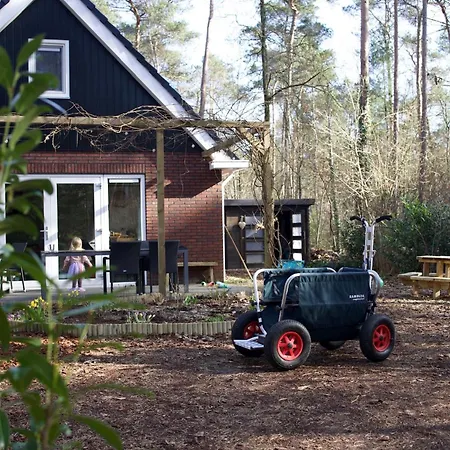 Vliegend Hert Veluwe Holiday home Nunspeet