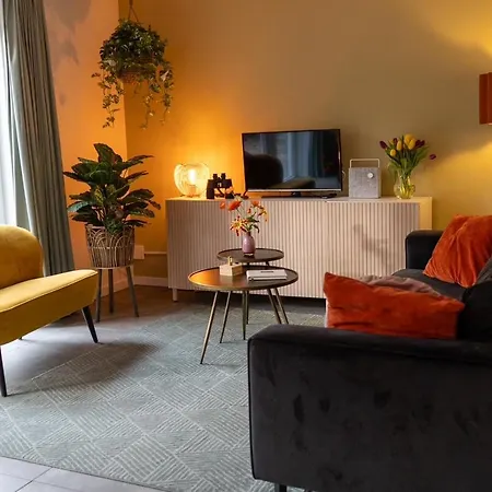 Vliegend Hert Veluwe Dom wakacyjny