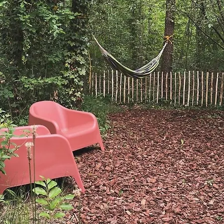 Vliegend Hert Veluwe Feriehus