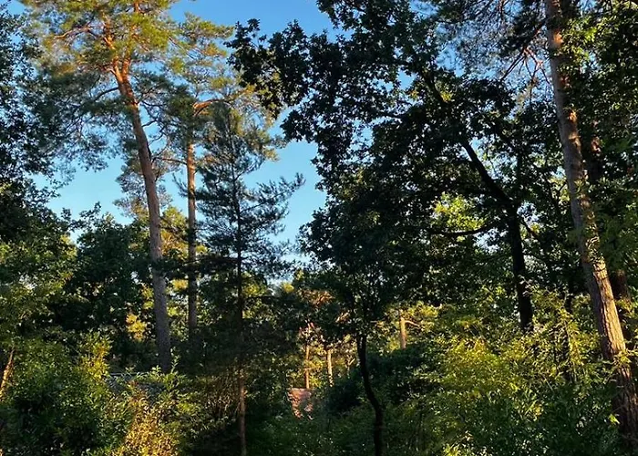 Vliegend Hert Veluwe נונספייט