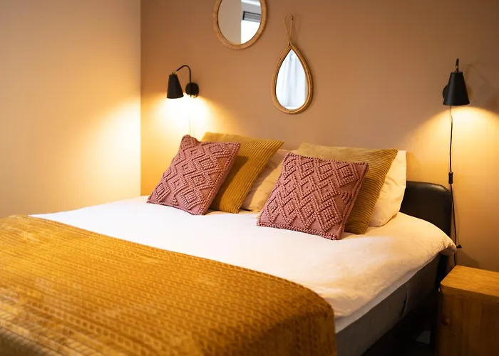 Vliegend Hert Veluwe Dom wakacyjny