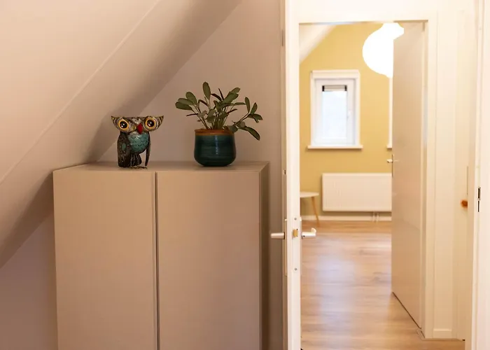 Vliegend Hert Veluwe * Nunspeet