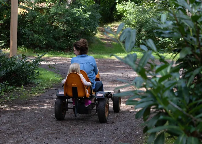 Vliegend Hert Veluwe Dom wakacyjny