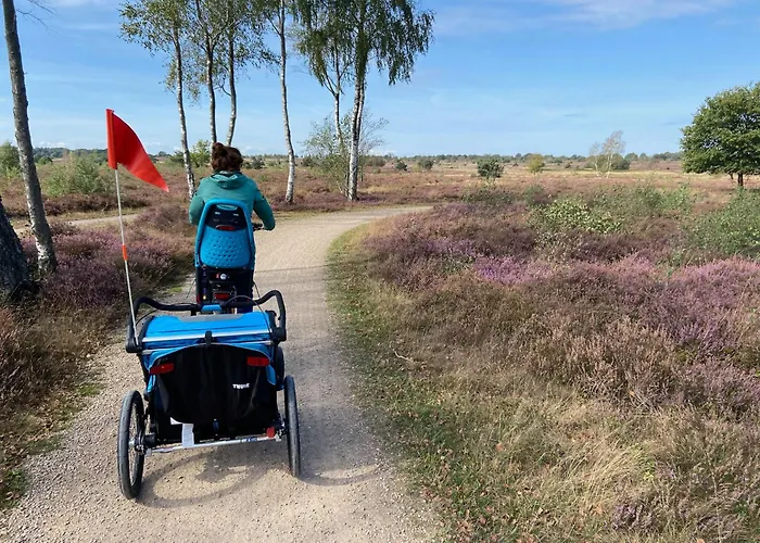 Dom wakacyjny Vliegend Hert Veluwe