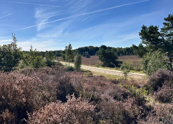 Vliegend Hert Veluwe Dom wakacyjny