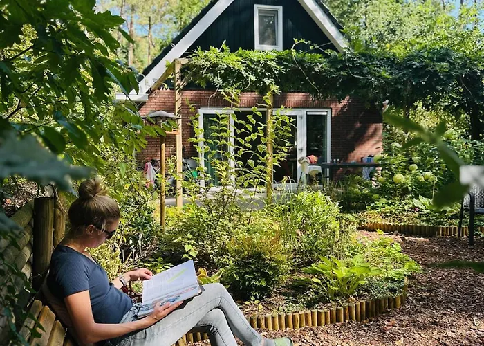 Dom wakacyjny Vliegend Hert Veluwe Nunspeet