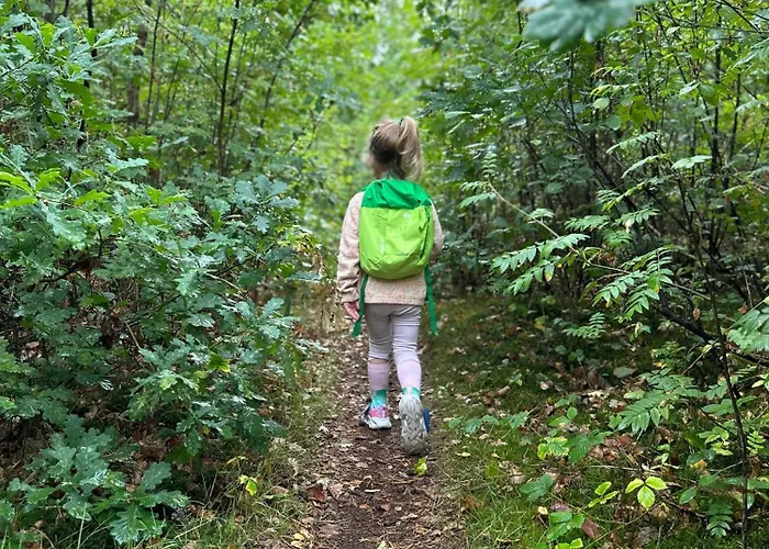 Vliegend Hert Veluwe Nunspeet