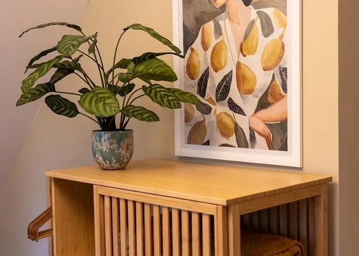 Vliegend Hert Veluwe * Nunspeet