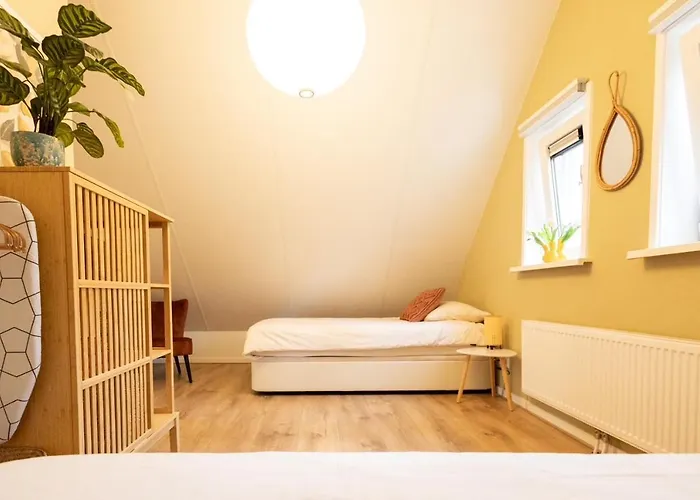 Vliegend Hert Veluwe * Nunspeet