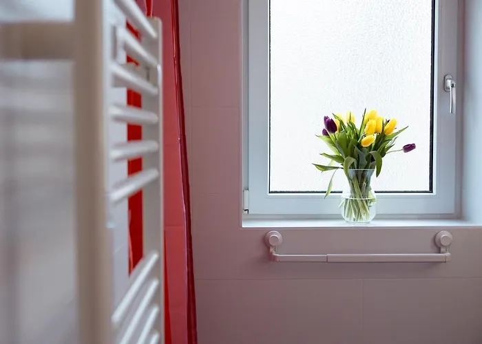 Vliegend Hert Veluwe Dom wakacyjny Nunspeet