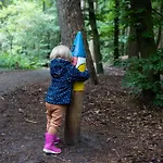 Vliegend Hert Veluwe Nunspeet