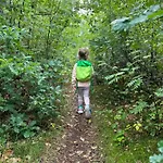 Vliegend Hert Veluwe Nunspeet