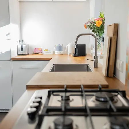 Vliegend Hert Veluwe *