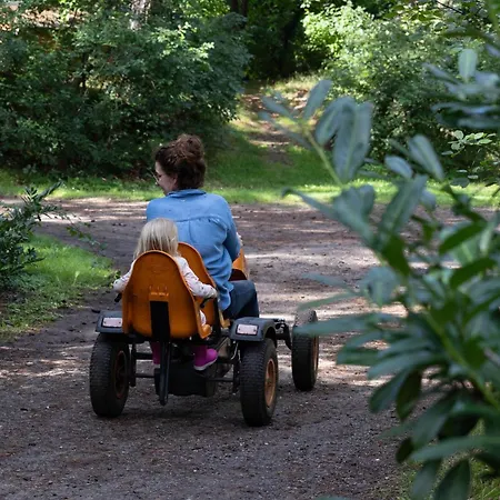 Vliegend Hert Veluwe بيت للعطل