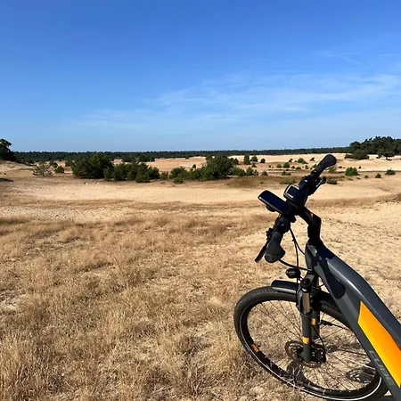 Vliegend Hert Veluwe
