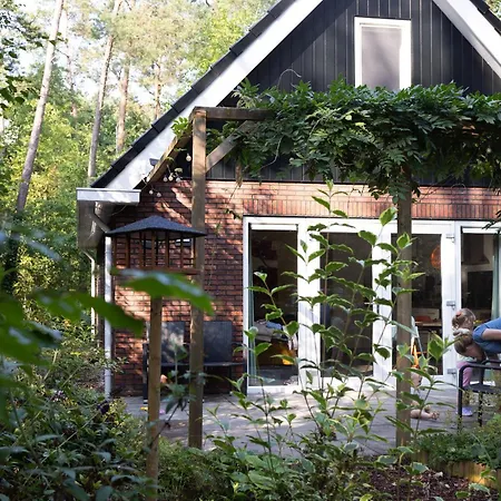 Vliegend Hert Veluwe