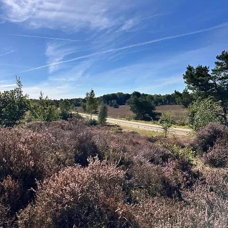 Vliegend Hert Veluwe بيت للعطل