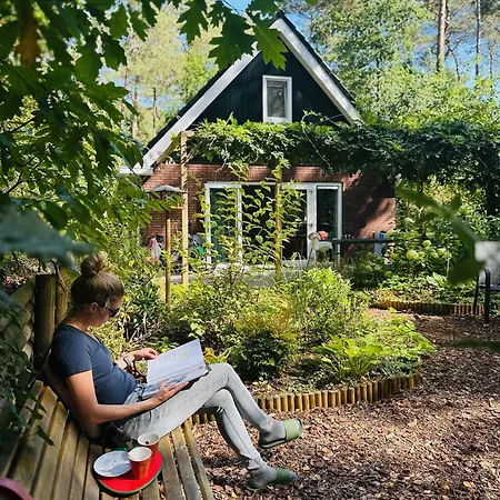 بيت للعطل Vliegend Hert Veluwe نونسبيت