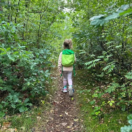 Vliegend Hert Veluwe Nunspeet