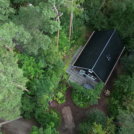 Vliegend Hert Veluwe