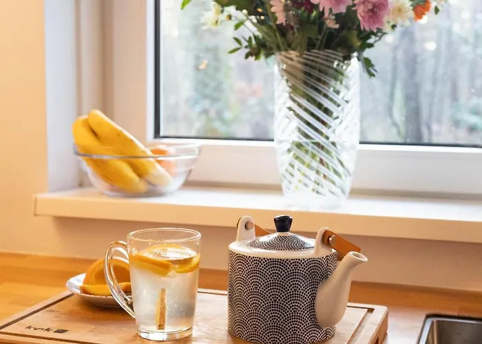 Vliegend Hert Veluwe Nunspeet