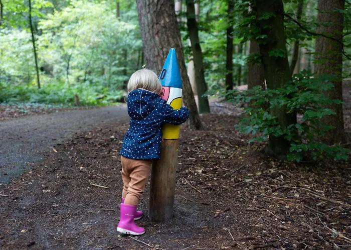 Vliegend Hert Veluwe Nunspeet