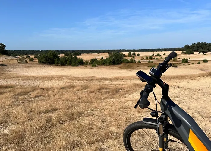 Vliegend Hert Veluwe