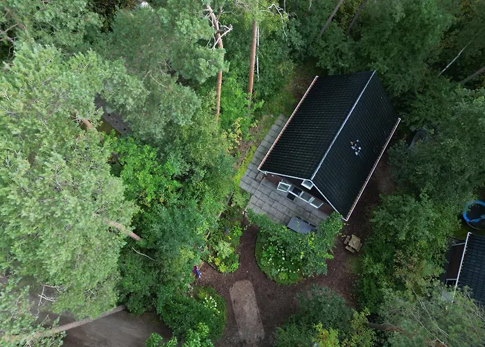 Vliegend Hert Veluwe